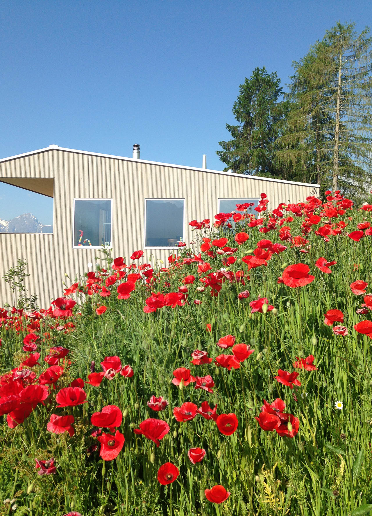 Bild: /bilder/02-ChasaTraisPizSent-04.jpg nicht gefunden